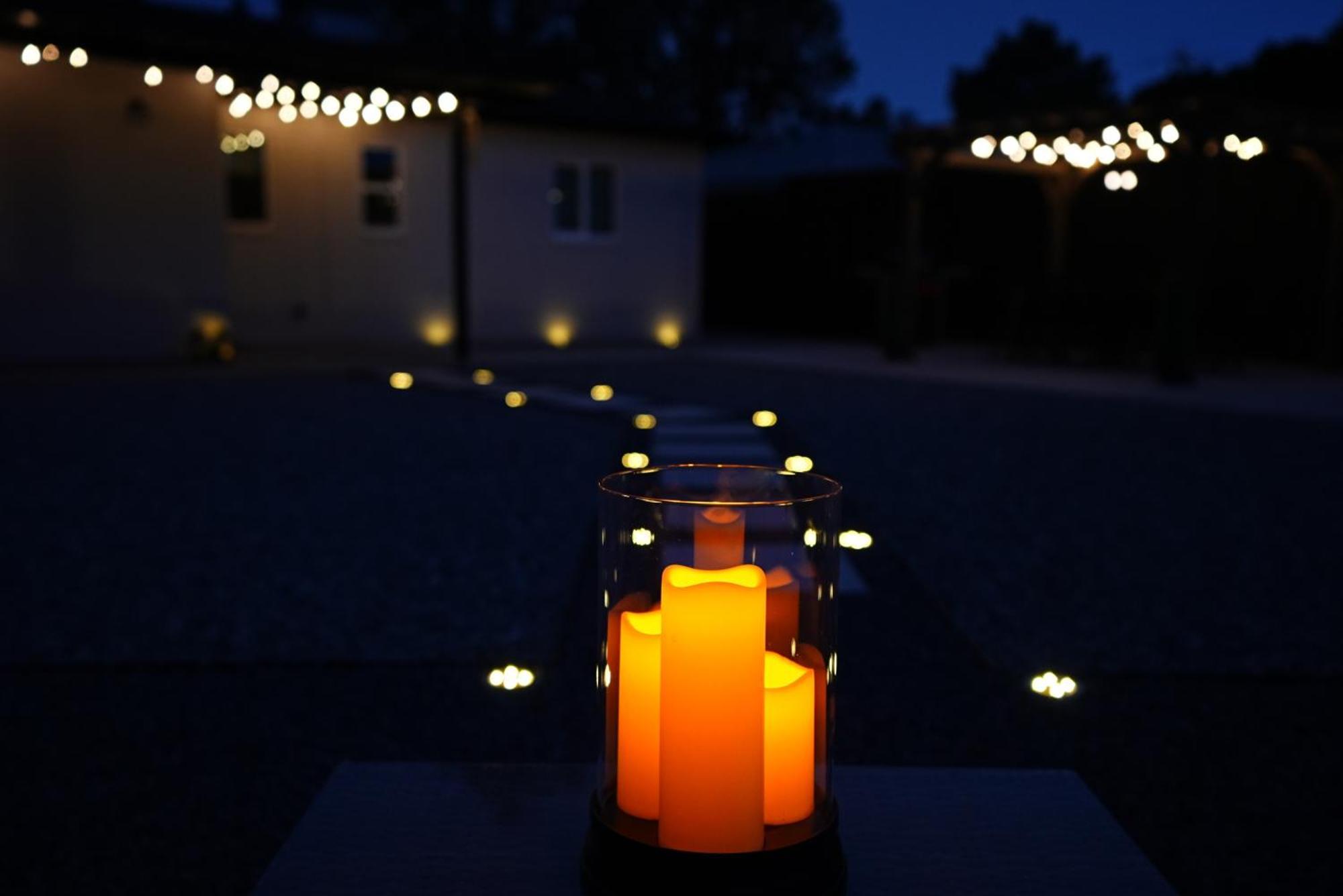Centrally Located! Remodeled! Huge Backyard! The White House Albuquerque Eksteriør bilde